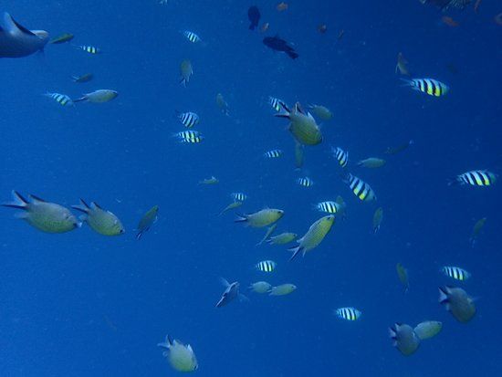 Naufrágio do USS Liberty